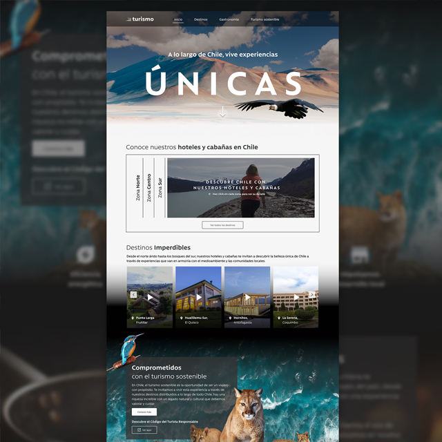 Turismo Caja Los Andes